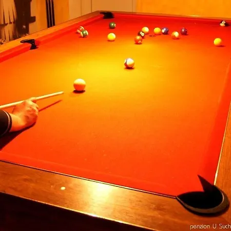 U Suchanku 3* Horní Cerekev